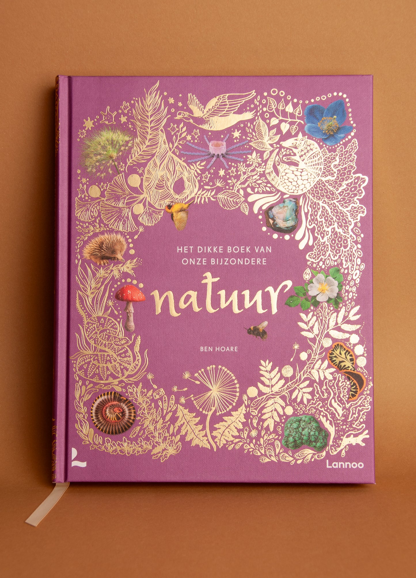 Kinderboek over de natuur – Ontdek de wonderen van buiten!