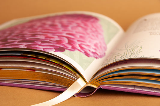 Kinderboek over de natuur – Ontdek de wonderen van buiten!