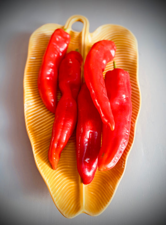 Schaal Warm Geel – een Zonnig Accent voor Jouw Interieur of Tafel